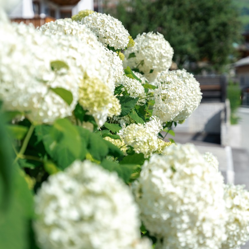 Testblume quadratisch